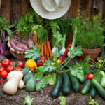 Beet und Balkon Gemüse