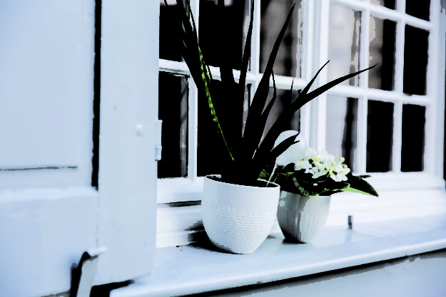 Pflanzgefäße Innenkeramik