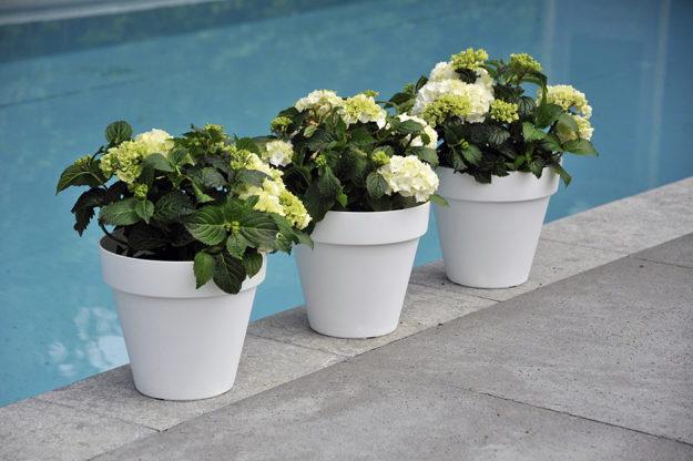 Pflanzgefäße Kunststoff