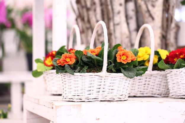 Pflanzgefäße Körbe