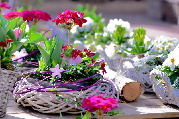 Schalen und Präsente Innen