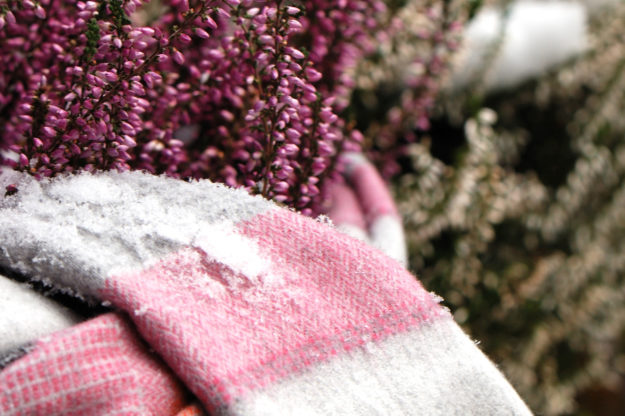 Winterschutz Gartenzubehör